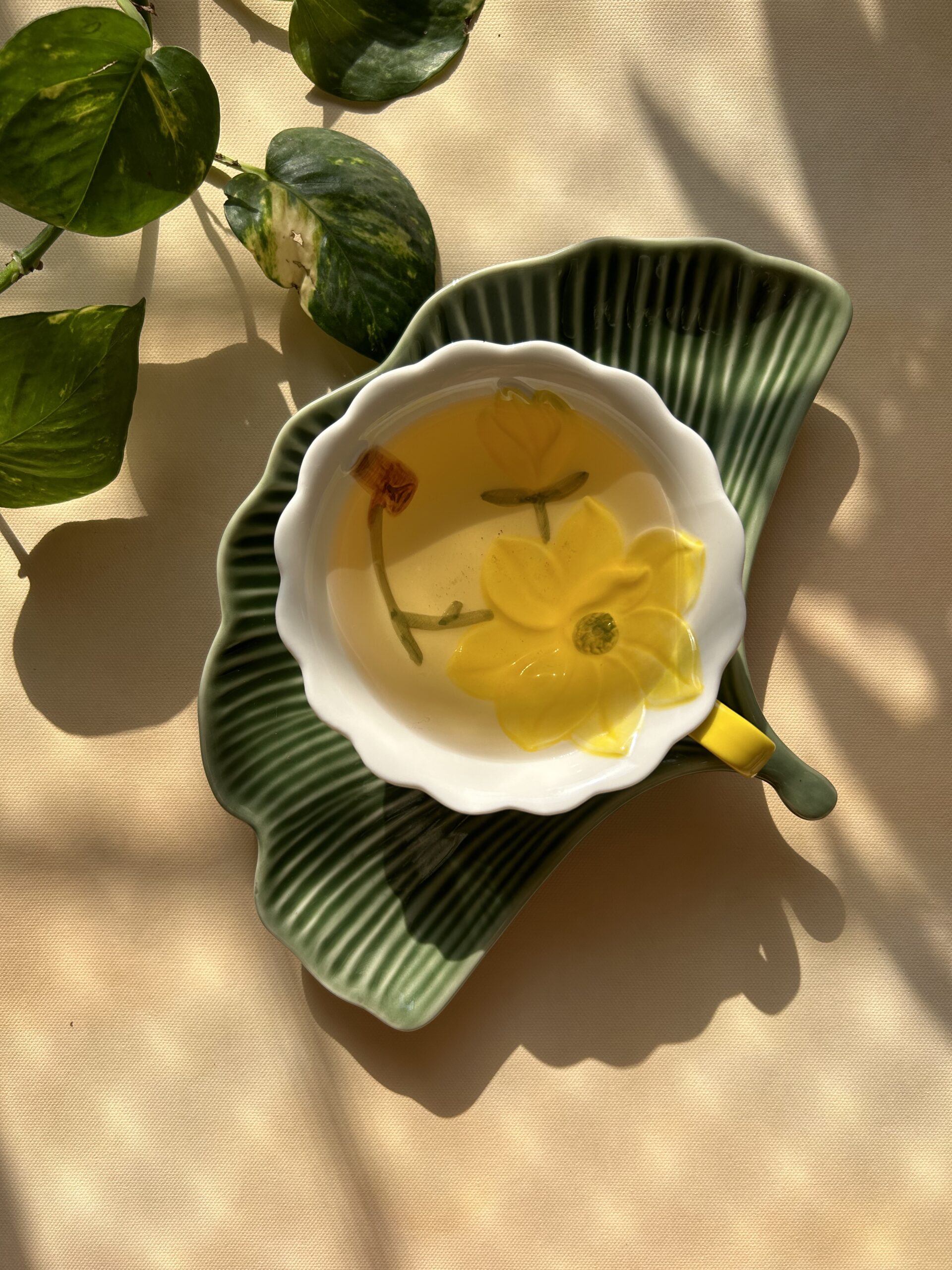 Read more about the article What is Tea? A Journey Through the Leaves